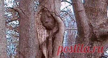 Фотогалерея