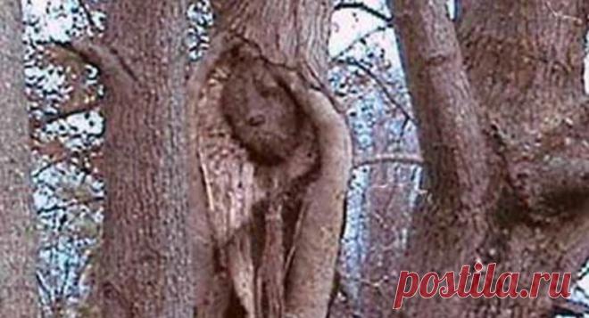 Фотогалерея