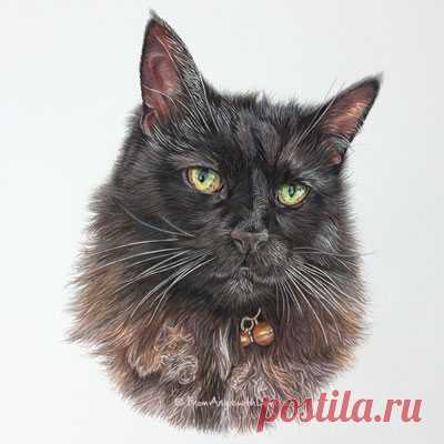 Кошачьи портреты карандашом