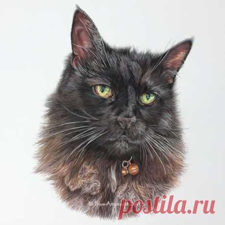 Кошачьи портреты карандашом