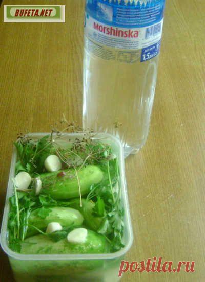 Малосольные огурцы на минералке