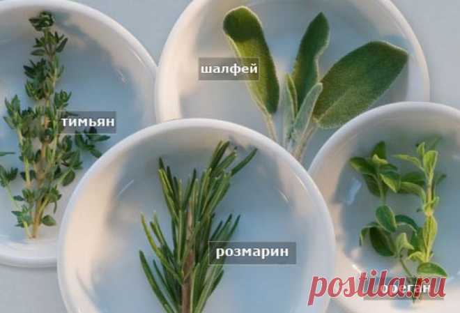20 продуктов питания, которые сохраняют здоровье Вашего сердца