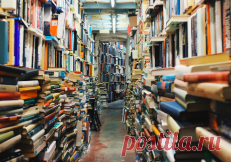 Что сейчас читают