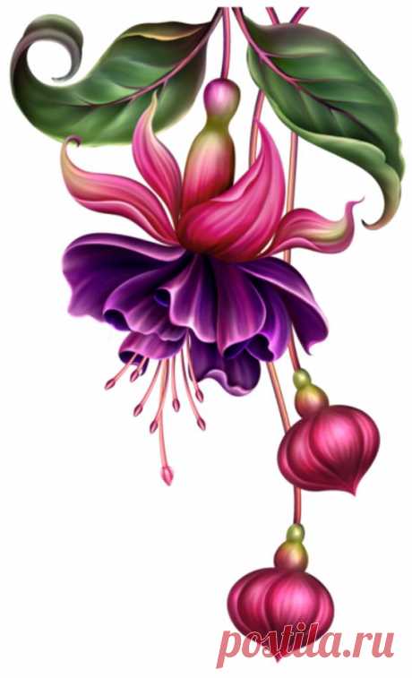 (24) Pinterest