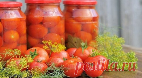 ТОП-10 ОТЛИЧНЫХ РЕЦЕПТОВ ИЗ ПОМИДОРОВ