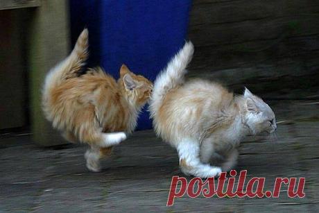 nargiza-967 — «getImage (20).jpg» на Яндекс.Фотках