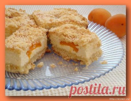 Королевская ватрушка с курагой. Изумительное блюдо!