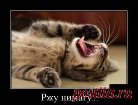 Путин заявил о необходимости конфискации имущества, добытого незаконным способом