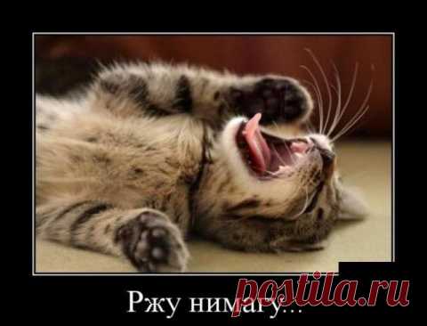 Путин заявил о необходимости конфискации имущества, добытого незаконным способом
