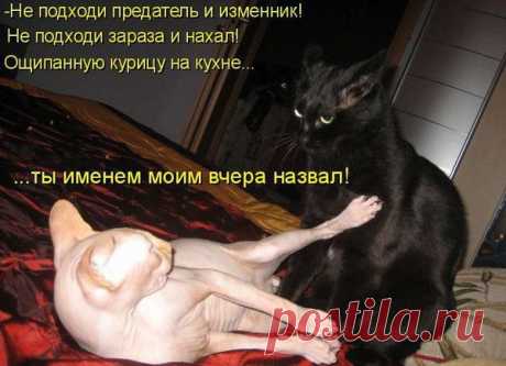 Семейные разборки...