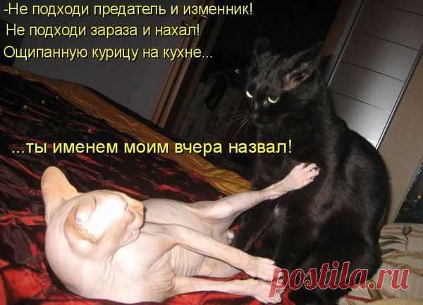 Семейные разборки...