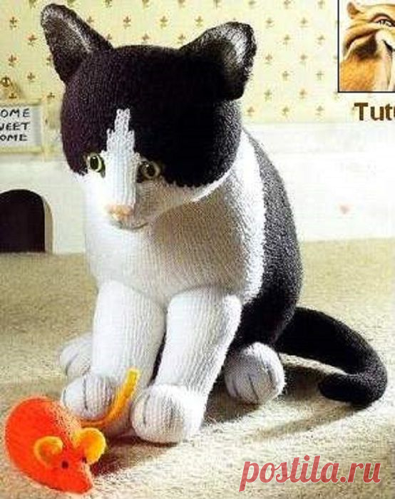 Кошка от Алана Дарта. .