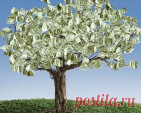 Чтобы выйти на доход от 1000$ и более необходимо усердно поработать полгода-год. Слишком долго скажите вы? Тогда вам нужно купить газету "Трудоустройство" ,найти работу и получать в среднем 200 долларов каждый мес. Или есть другой вариант- Наша команда успешных поможет вам выйти на этот доход.Гарантирую: денег не надо, из дома выходить не надо, бегать никуда не надо, ничего продавать не будем, работаем только в интернете.Регистрируйтесь https://orilider.com/?i=13126 И мы с вами свяжемся