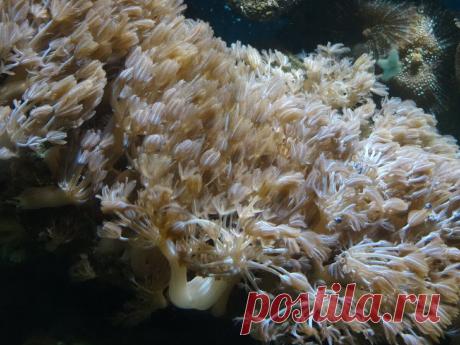 Каждый раз, когда у меня ломается машина, я знаю: значит, так надо
Я верю в знаки. Так как мы давно подружились со Вселенной и постоянно находимся в сообщении, то её знаки с каждым разом становятся всё более понятными. Я никогда не расстраиваюсь, если у меня вдруг срывается какое-то мероприятие или поездка. Я просто знаю, что сейчас убереглась от чего-то неприятного. Не воспринимаю досадное недоразумение, как проблему, но […]
Читай дальше на сайте. Жми подробнее ➡