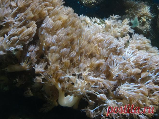 Каждый раз, когда у меня ломается машина, я знаю: значит, так надо
Я верю в знаки. Так как мы давно подружились со Вселенной и постоянно находимся в сообщении, то её знаки с каждым разом становятся всё более понятными. Я никогда не расстраиваюсь, если у меня вдруг срывается какое-то мероприятие или поездка. Я просто знаю, что сейчас убереглась от чего-то неприятного. Не воспринимаю досадное недоразумение, как проблему, но […]
Читай дальше на сайте. Жми подробнее ➡