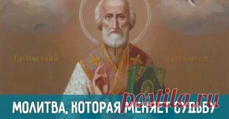 (24) Одноклассники