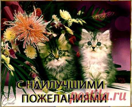 Если пожеланья что-то значат,
Я желаю тебе удачи,
Чтобы солнце тебе светило,
Чтобы сердце твое любило,
Чтобы все печали и беды
Обернулись в твои победы.
Счастья я тебе желаю,
Оставайся всегда таким,
Каким я тебя знаю -
Красивым, милым и простым.