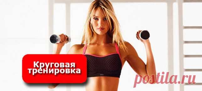 Круговая тренировка: программа для похудения в домашних условиях | Naget.Ru