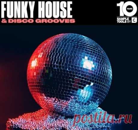 Download Sample Tools by Cr2 Funky House and Disco Grooves [WAV] | 13 October 2024 | 517.23 MB Step into the groove and feel the rhythm with Funky House and; Disco Grooves, a dazzling sample pack that brings together the soulful essence of Funky House and the nostalgic vibes of Disco. With over 280 meticulously curated samples, this pack is your gateway to creating infectious tracks that radiate positivity and dancefloor energy.