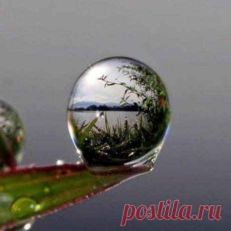 Мир в одной капле.