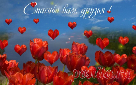 Говорим всем &quot;Спасибо&quot;. Флеш-открытка.