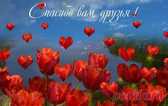 Говорим всем "Спасибо". Флеш-открытка.