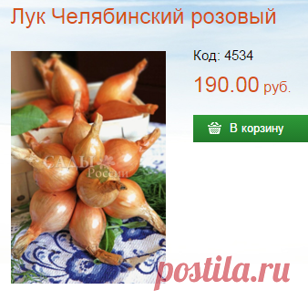 Лук Челябинский розовый - Лук семейный крупный - Лук - Семена и саженцы почтой от НПО Сады России (Сад и огород). Интернет-магазин посадочного материала.