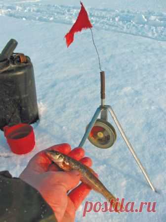 Пескарь - мечта весенней щуки?  

Весна в разгаре. И дни эти весенние не похожи один на другой. То упадет на землю тяжелая серая хмарь, придавит дома и бегущих куда-то людей, сыпанет вихревым неистовым снежным зарядом, от которого …