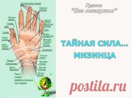 (89) Одноклассники