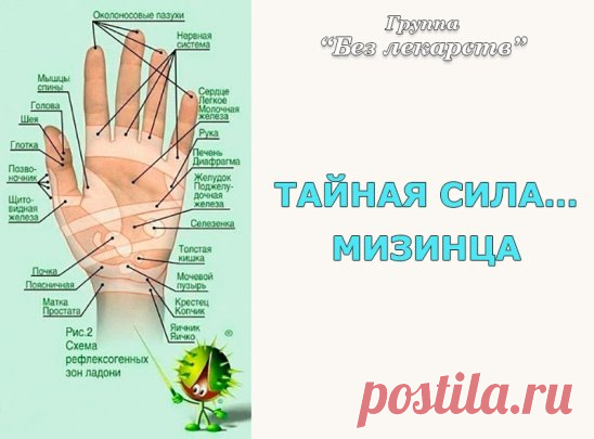 (89) Одноклассники