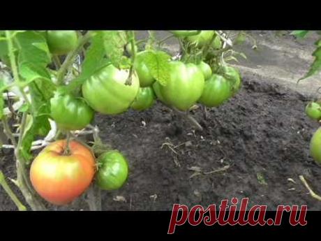 Вкусный Огород