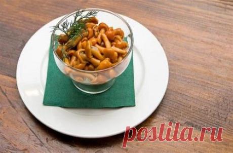 Опята: самые вкусные рецепты консервирования. Маринованные опята. / Простые рецепты