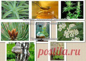 Настойка "Эликсир жизни".