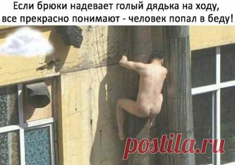 Интересна идея. - Еда и рецепты - 926981 - Tabor.ru