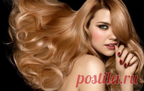 Хитрый способ, как сделать обычный шампунь в 100 раз полезнее | СОВЕРШЕНСТВО | Яндекс Дзен