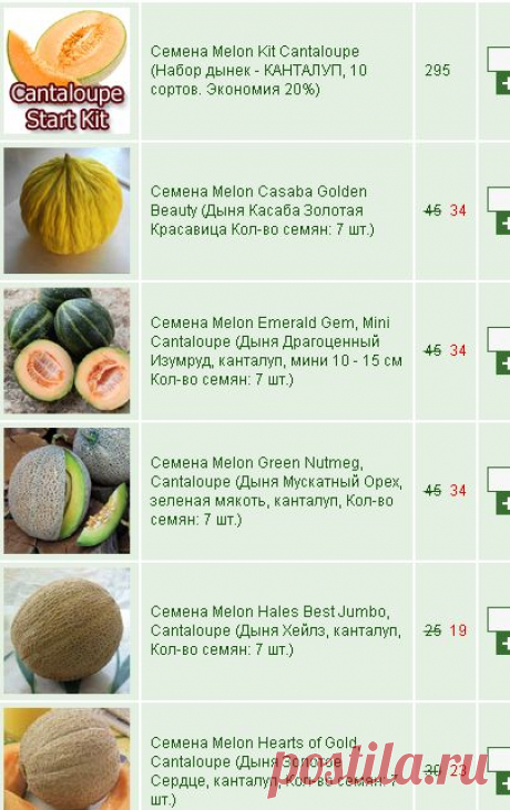 trade house seeds-торговый дом семян