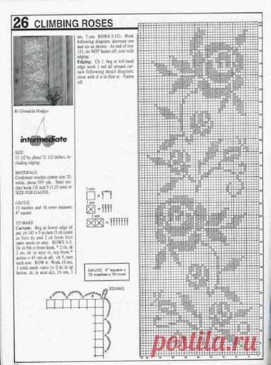 crochet - filet edgings - barrados / bicos filet - Raissa Tavares - Веб-альбомы Picasa