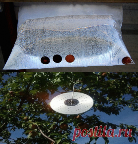 Как просто и дешево защитить свой дом от мух и комаров