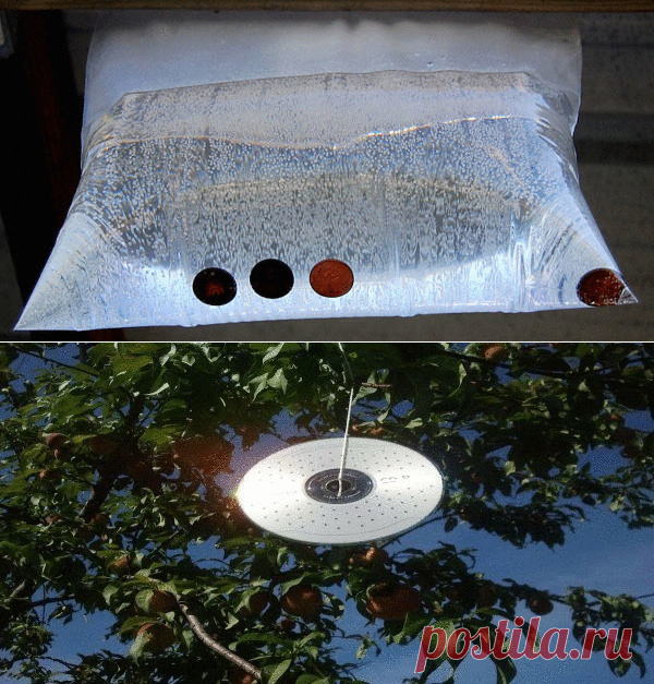 Как просто и дешево защитить свой дом от мух и комаров