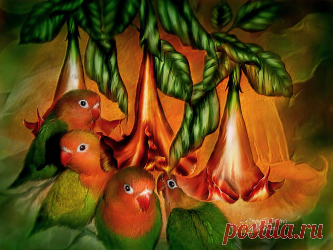 В мире животных...сказочные фантазии | Carol Cavalaris