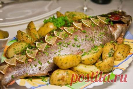 РЫБА В ДУХОВКЕ: ТОП-6 РЕЦЕПТОВ 🐡

1) Рыба в томатном соусе

ИНГРЕДИЕНТЫ:
● минтай 1200 г
● соль, перец, оливковое масло, приправы по вкусу
● сахар 1 ч.л.
● морковь 300 г
● лук 2 шт.
● чеснок 2-3 зубчика
● томатный сок 500 мл
● укроп зелень

ПРИГОТОВЛЕНИЕ:
Обрезать плавники на рыбе и порезать ее на кусочки. Вымыть и почистить морковь. Нарезать ее тонкими кольцами.Очистить и вымыть лук. Нарезать его кольцами. Разогреть сковороду с маслом и обжарить лук и морковь. После обжа...