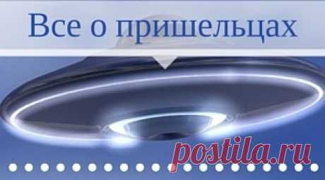 Новости Перехода (О наших планах) | Возрождение