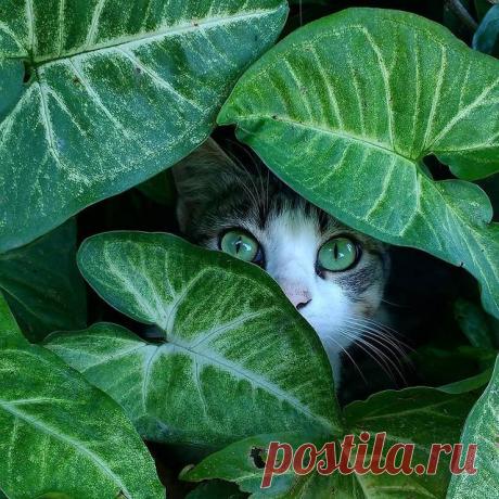 Photo shared by ВОКРУГ СВЕТА on April 23, 2021 tagging @macrofotando.