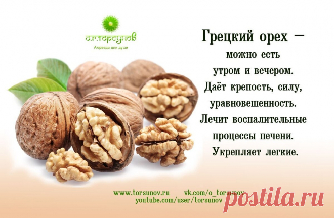 Грецкий орех
