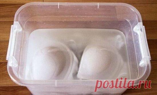 Этому способу отбеливания нижнего белья меня научила соседка, прачка на пенсии   
Даже безнадежно посеревший бюстгальтер станет как новый, если добавить всего 1…
Нижнее белье обладает просто магическими свойствами. Ты можешь хоть мешок на себя натянуть, но если под ним будет сногсшибательный кружевной ансамбль, ты всё равно будешь чувствовать себя красоткой на миллион. Весной и летом ты наверняка отдаешь предпочтение светлой одежде, а значит, и белье подбираешь в большинстве случае