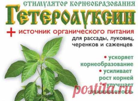 Лучшие стимуляторы роста: применение и характеристики