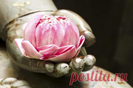 Не доверяйте тому, что вы слышали; не доверяйте традициям, так как их передавали из поколение в поколение; не доверяйте ничему, если это является слухом или мнением большинства; не доверяйте, если это является лишь записью высказывания какого-то старого мудреца; не доверяйте догадкам; не доверяйте тому, что вы считаете правдой, к чему вы привыкли; не доверяйте одному голому авторитету ваших учителей и старейшин. После наблюдения и анализа, когда он согласуется с рассудком ...