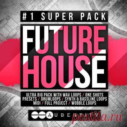 Audentity Records Future House #1 Super Pack WAV MIDI Synth presets  | 599 MB

Freaking HUGE Future House pack!

With our previous Future House packs #1 best selling in the Beatport charts for 2 months, AR is extremely proud to present a brand new FUTURE HOUSE #1 SUPER PACK!