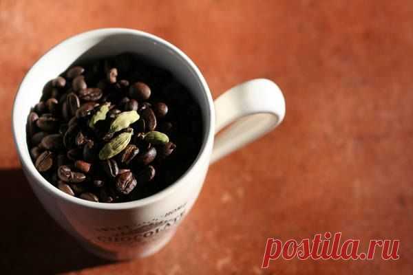 Есть вещи, которые стоят того, чтобы им хранили верность. Например, кофе.
Джон Голсуорси