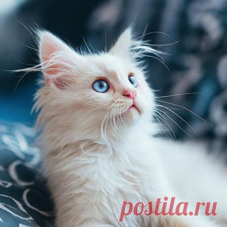 Стала подозревать мужа - OGADANIE.RU